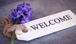 NNV-PostFeaturedImage